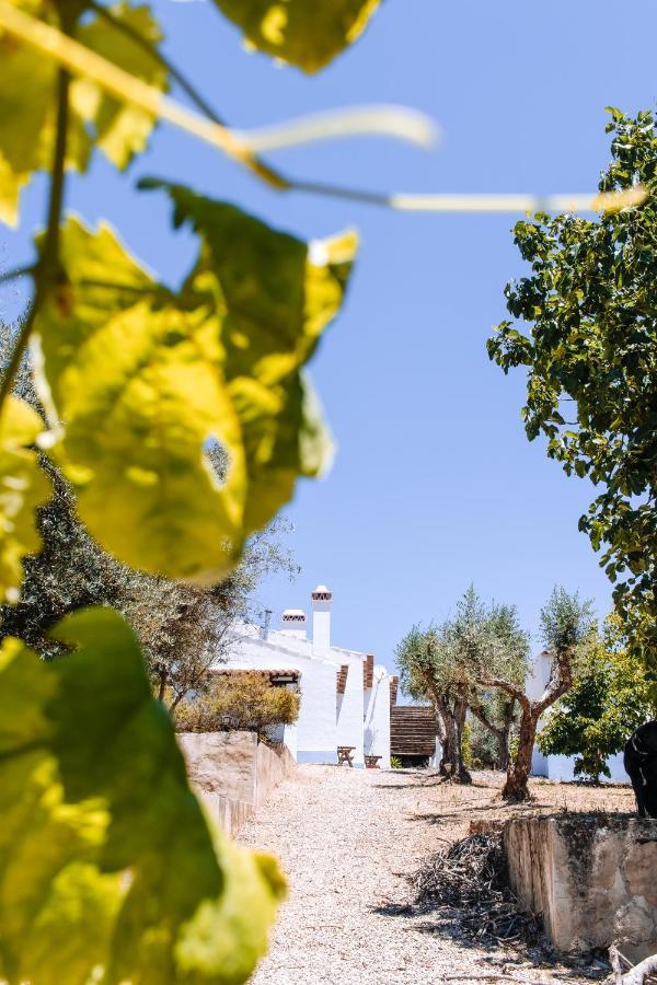 Monte Do Pomar Pension Redondo Buitenkant foto